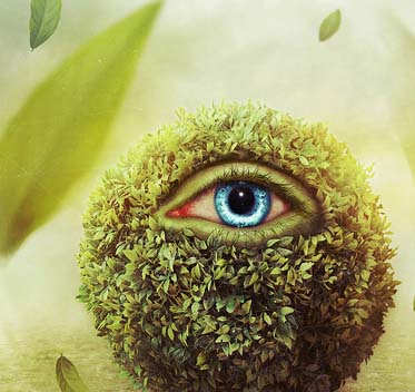 一键问题排查的网页攻击器