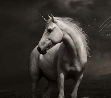 ddos压力在线测试平台