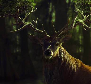 助您决胜市场的ddos压力测试网页端